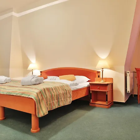 & Wellness Silva Hotel Marianske Lazne