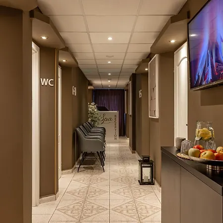 酒店 & Wellness Silva 4*