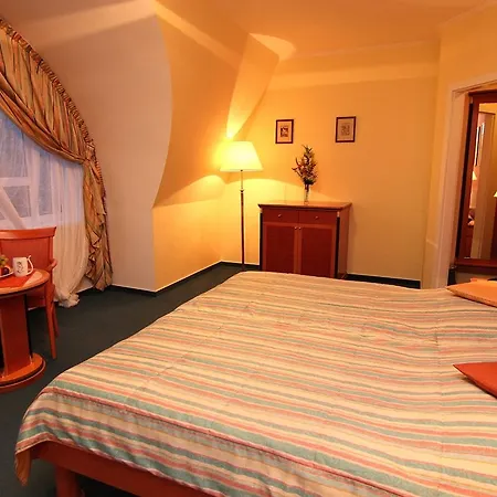 & Wellness Silva Hotel 4*