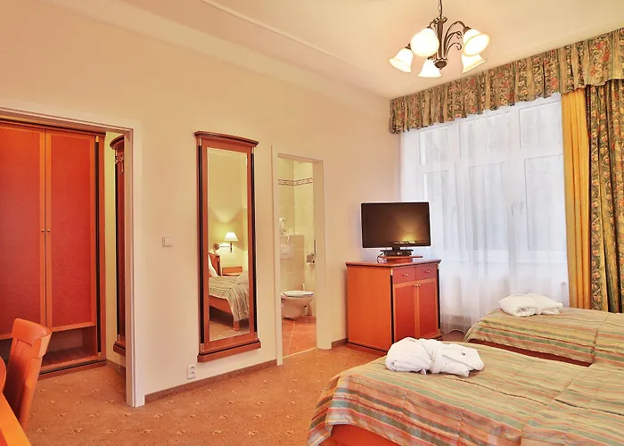 & Wellness Silva Hotel 4*