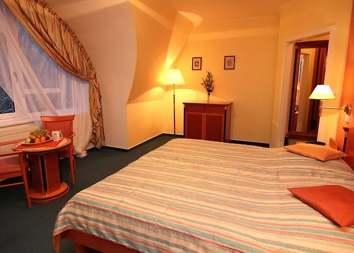 & Wellness Silva Hotel 4*